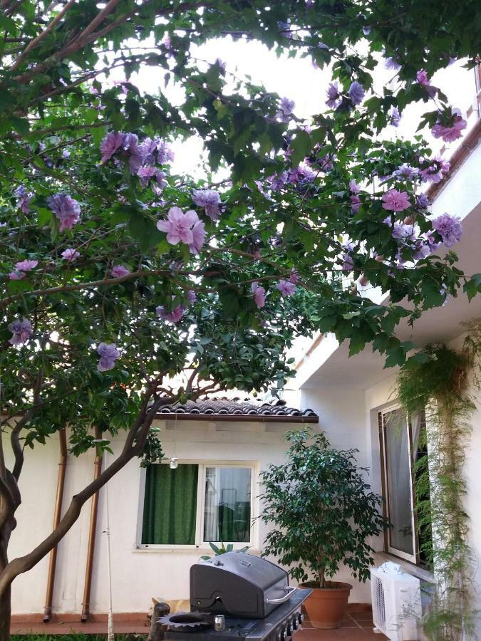 Casa Agrumeto - Locazione Turistica Mondello Exterior foto